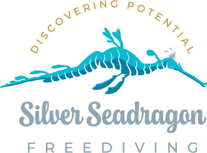 Silver Seadragon Freediving logo